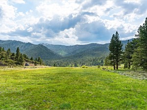 Meadow West View